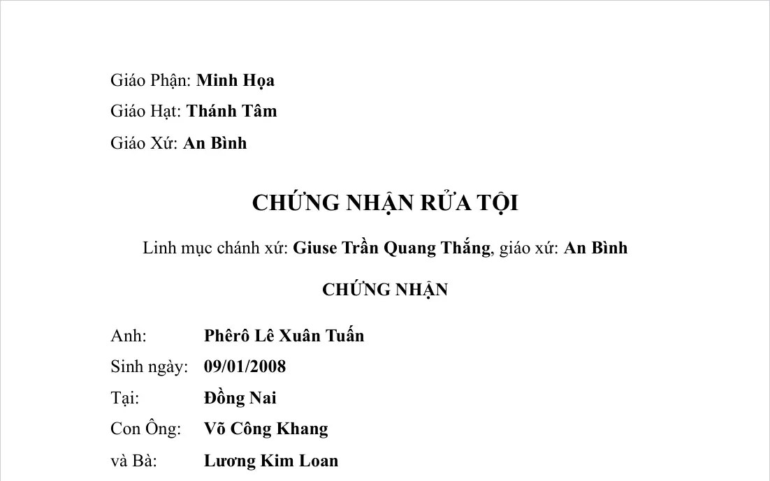 Giấy chứng nhận rửa tội in từ phần mềm: tên người nhận, ngày sinh, cha mẹ, ngày và nơi rửa tội, linh mục ban bí tích, người đỡ đầu.